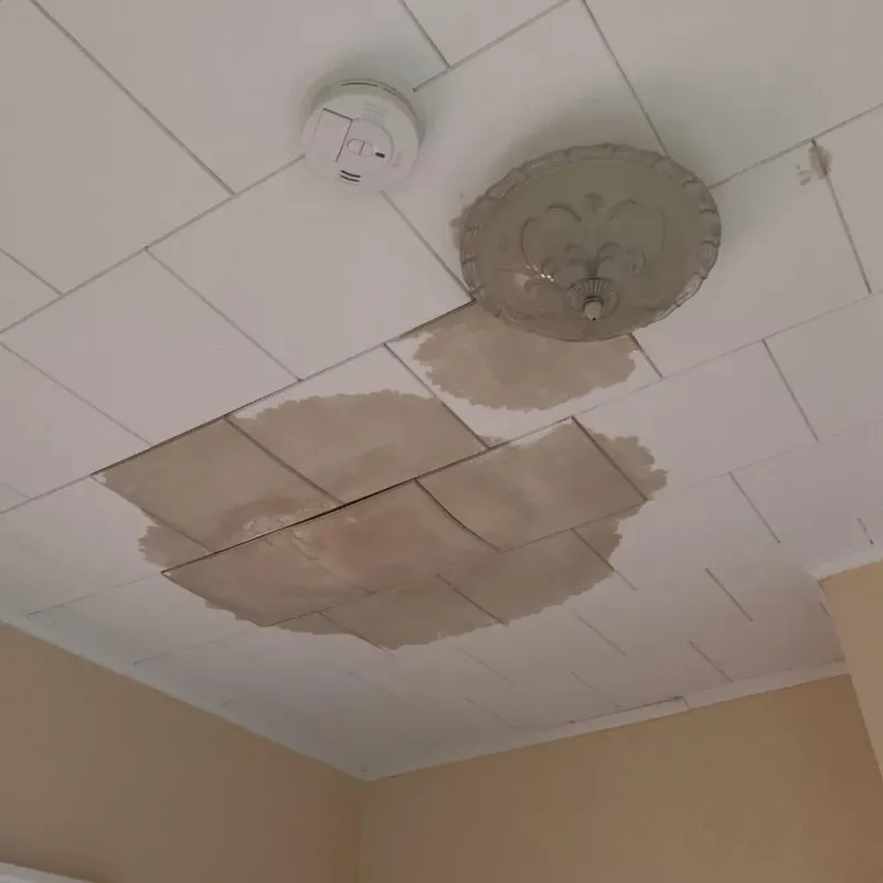 Ceiling Water Damage Repair in Woodford County, KY