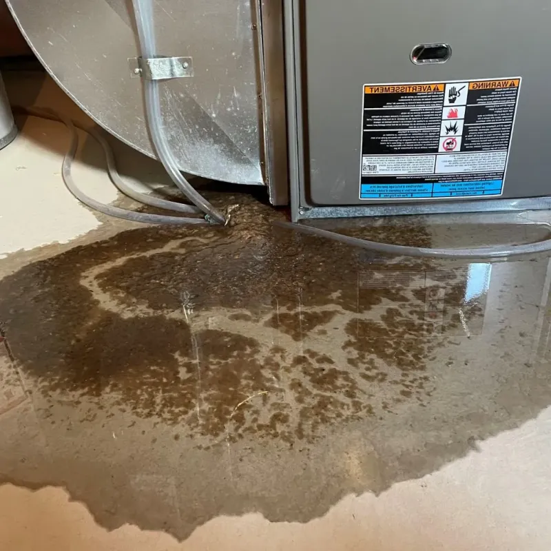 Pipe Burst and Leak Restoration in Woodford County, KY