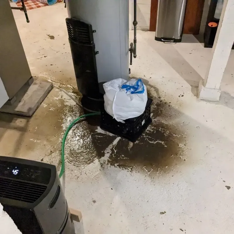 Sewage Backup Cleanup Service in Woodford County, KY